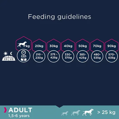 Насоки за хранене на кучета над 25 кг: 20 кг – 210–230 г, 30 кг – 275–425 г, 40 кг – 330–370 г, 50 кг – 385–425 г, 70 кг – 480–535 г, 90 кг – 570–635 г дневно. За възрастни 1,5–6 години.