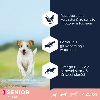 Receptura bez kurczaka i ze świeżo mrożonym łososiem, formuła z glukozaminą i wapniem, omega 6 i 3 dla skóry i sierści. Senior 7+ lat, psy do 25 kg.