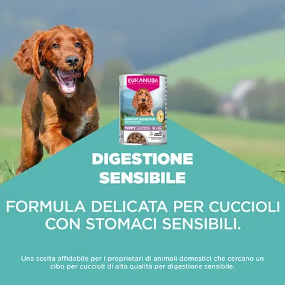 Eukanuba Special Care Puppy Sensitive Digestion