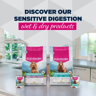 Eukanuba Sensitive Digestion Puppy ja Adult S-XL -kuivaruoka ja märkäruokapurkit. Tutustu herkän ruoansulatuksen märkä- ja kuivaruokiimme. Eukanuba Sensitive Digestion Puppy ja Adult S-XL -kuivaruoka ja märkäruokapurkit. Tutustu herkän ruoansulatuksen märkä- ja kuivaruokiimme.