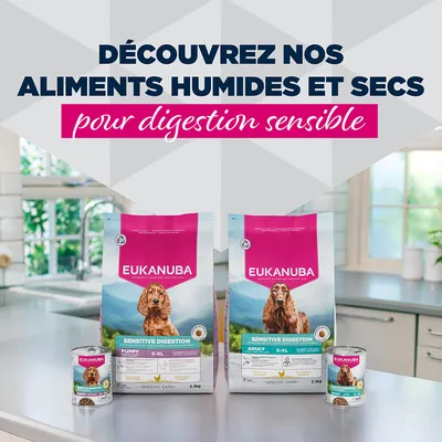 Eukanuba Special Care Adulte Digestion Sensible Eukanuba Special Care Adulte Digestion Sensible