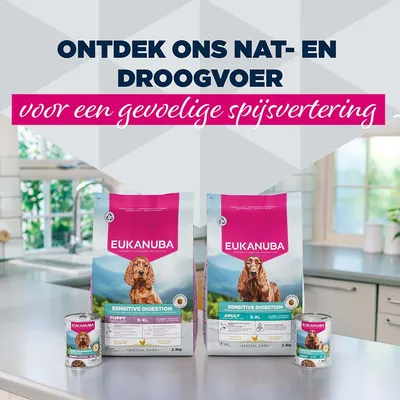 Eukanuba Special Care Adult Sensitive Digestion