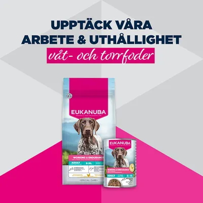 Eukanuba Special Care Adult Working & Endurance