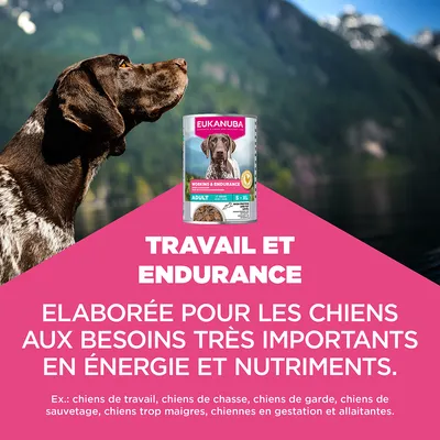 Eukanuba Special Care Adulte Travail et Endurance