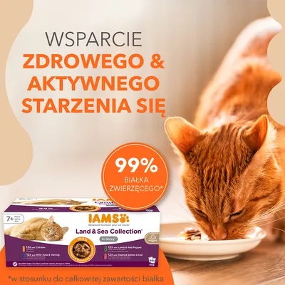 Wsparcie zdrowego i aktywnego starzenia się, 99% białka zwierzęcego, IAMS Land & Sea Collection in Gravy dla kotów 7+, 48x85g. Widoczny kot jedzący z miski.