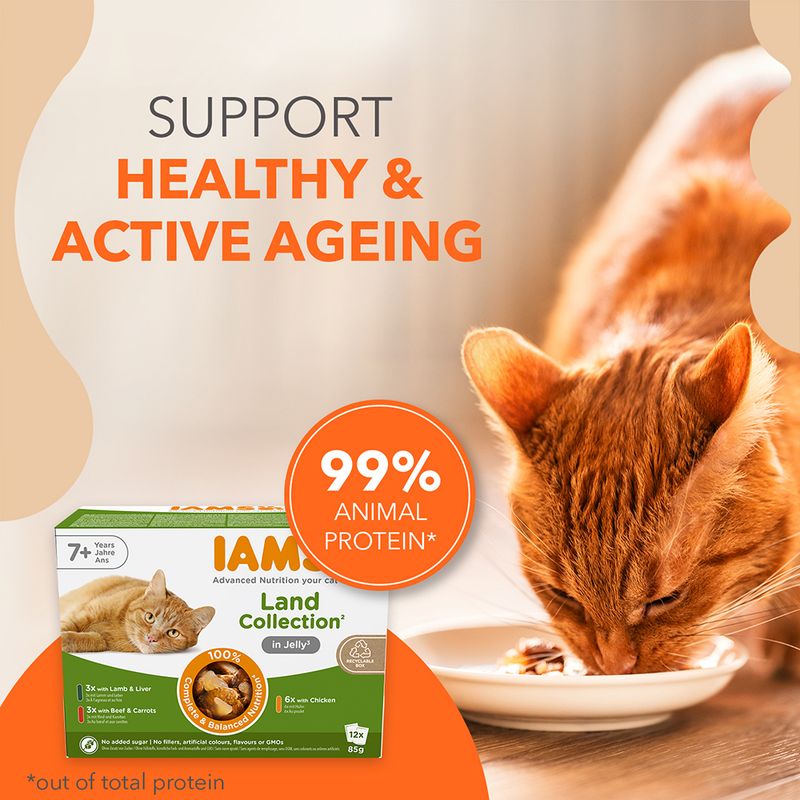 IAMS Advanced Nutrition Senior 7+ Land Collection v želé