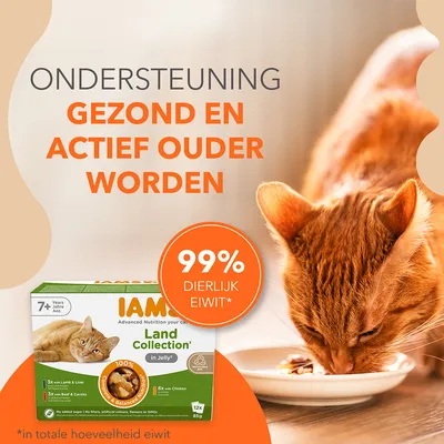 Tekst: Ondersteuning gezond en actief ouder worden. 99% dierlijk eiwit*. IAMS Land Collection in Jelly kattenvoer, 7+ jaar, 12x85g. *in totale hoeveelheid eiwit.