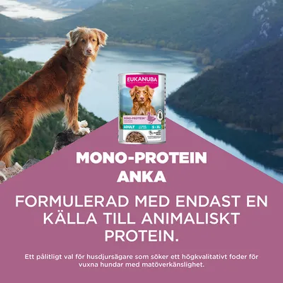 Eukanuba Special Care Adult Mono-Protein med anka