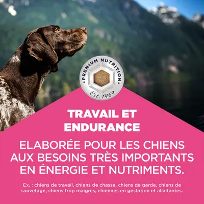 Eukanuba Daily Care Working & Endurance Adult