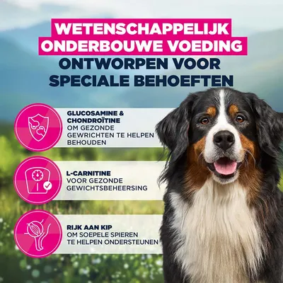 Eukanuba Daily Care Adult Sensitive Joints Hondenvoer Eukanuba Daily Care Adult Sensitive Joints Hondenvoer