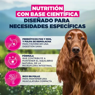 Eukanuba Special Care Sensitive Digestion Adult Eukanuba Special Care Sensitive Digestion Adult