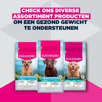 Eukanuba Special Care Weight Control Adult Large