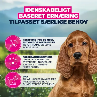 EUKANUBA Special Care tørfoder til hvalpe med sensitiv fordøjelse – kylling & kalkun
