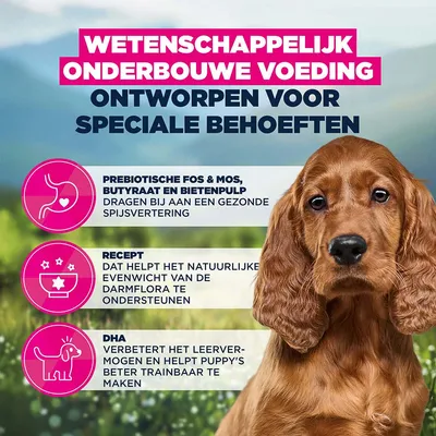 Eukanuba Puppy Sensitive Digestion met Kip & Kalkoen Hondenvoer