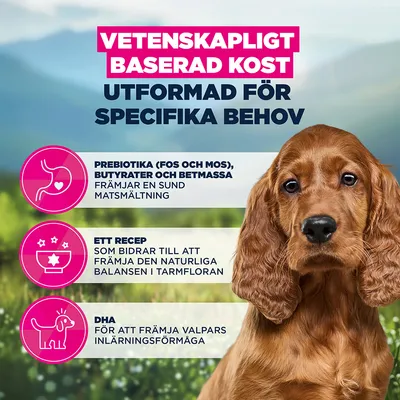 Eukanuba Special Care Sensitive Digestion Puppy Chicken & Turkey