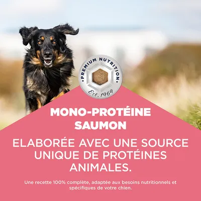 Eukanuba Adult Mono-Protein au saumon pour chien
