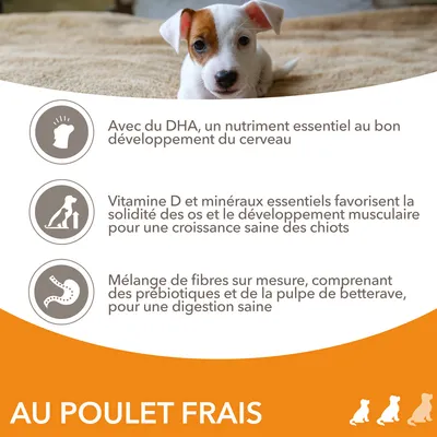 Avec du DHA pour le cerveau, vitamine D et minéraux pour os et muscles, fibres avec prébiotiques et pulpe de betterave pour la digestion. Au poulet frais.