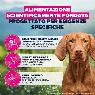 Eukanuba Special Care Mono-Protein Adult Agnello