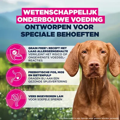 Eukanuba Special Care Mono-Protein Adult Lam