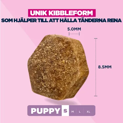 Eukanuba Premium Nutrition Puppy Small Breed Chicken