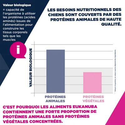 Eukanuba Premium Nutrition Puppy Small Breed au poulet