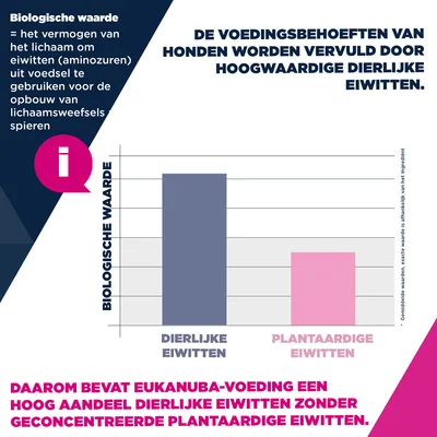 Eukanuba Premium Voeding Puppy Groot & Reuzen ras Kip