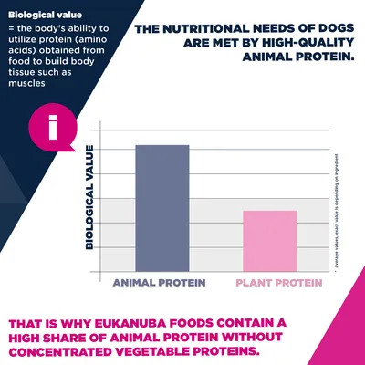 Eukanuba Premium Nutrition Puppy Small & Medium Breed karitsa & riisi