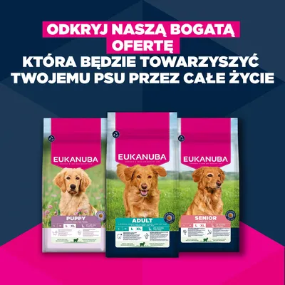 Eukanuba Premium Nutrition Puppy Large & Giant Breed, jagnięcina i ryż