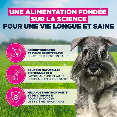 Eukanuba Premium Nutrition Adult Small Breed au poulet