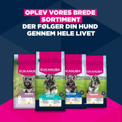 Eukanuba Premium Nutrition Adult Small Breed Kylling