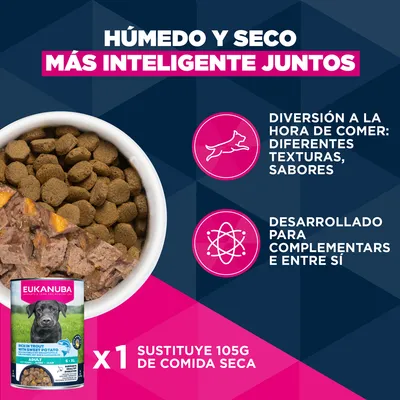 Eukanuba Premium Nutrition Adult Large & Giant Breed pollo