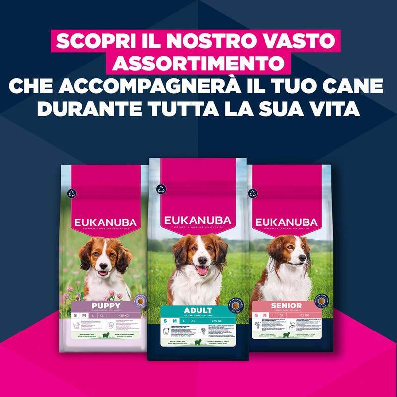 Eukanuba Premium Nutrition Adult Small & Medium Breed Agnello & Riso