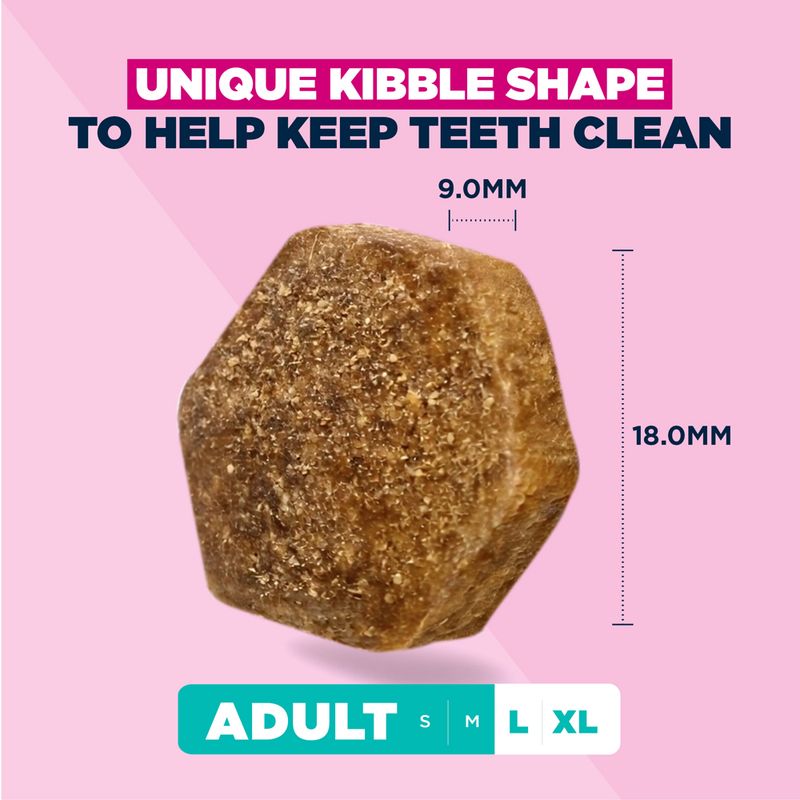 Eukanuba Premium Nutrition Adult Large & Giant Breed jehněčí a rýže