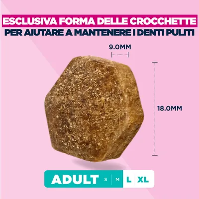 Eukanuba Premium Nutrition Adult Large & Giant Breed Agnello & Riso