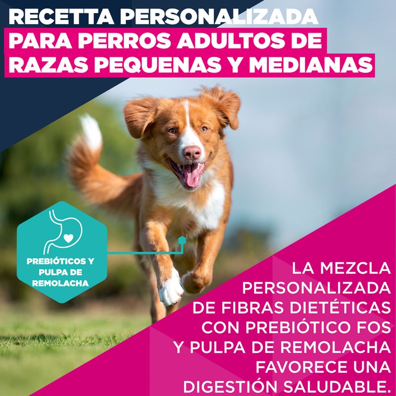 Eukanuba Premium Nutrition Adult Small & Medium Breed salmón