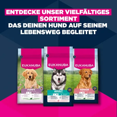 Eukanuba Premium Nutrition Adult Large & Giant Breed losos