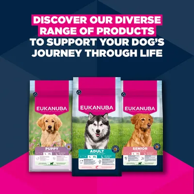 Eukanuba Premium Nutrition Adult Large & Giant Breed Laks