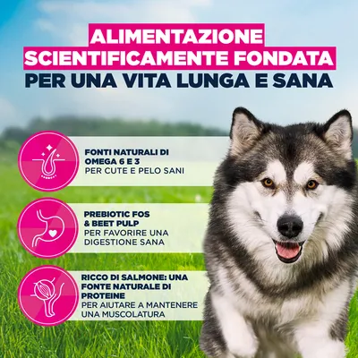 Eukanuba Premium Nutrition Adult Large & Giant Breed Salmone