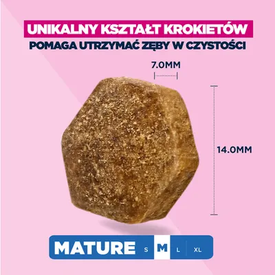 Eukanuba Premium Nutrition Mature Medium Breed, kurczak