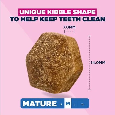 Eukanuba Premium Nutrition Mature Medium Breed csirke