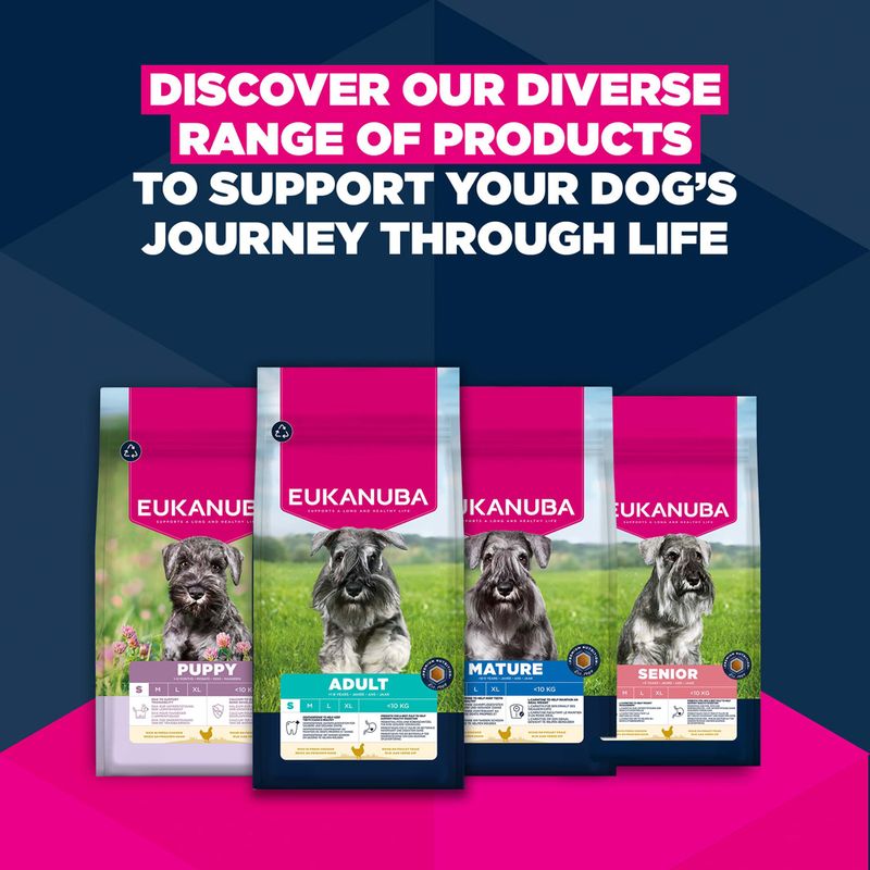 Eukanuba Premium Nutrition Senior Small Breed kana