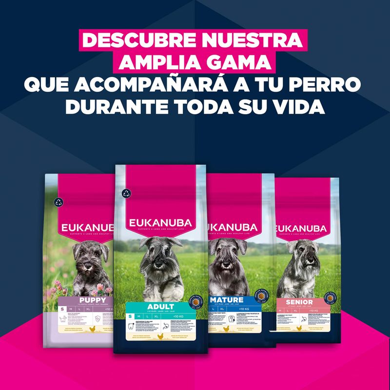 Eukanuba Premium Nutrition Senior Small Breed pollo