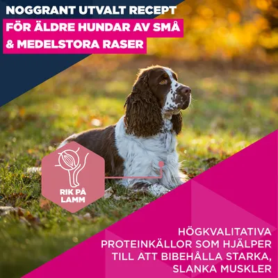 Eukanuba Premium Nutrition Senior Small & Medium Breed Lamb & Rice