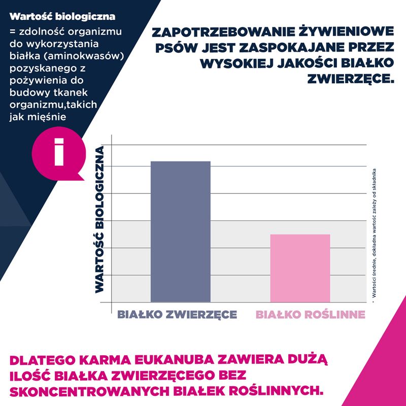 Eukanuba Premium Nutrition Senior Large & Giant Breed, jagnięcina i ryż