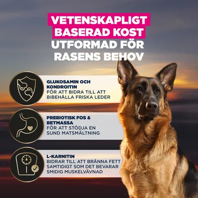 Glukosamin och kondroitin för friska leder, prebiotiskt FOS och betmassa för matsmältningen, L-karnitin för fettförbränning och bevarande av muskelmassa. Vetenskapligt baserad näring.