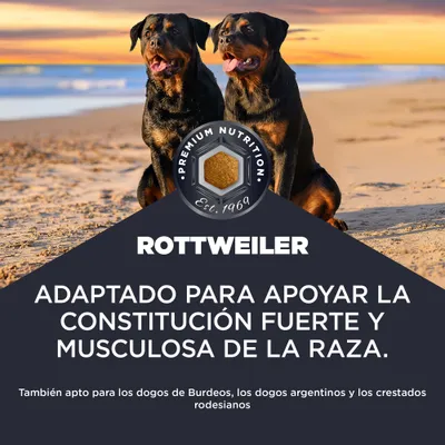 Premium Nutrition Rottweiler. Adaptación para apoyar una constitución fuerte y musculosa de la raza. También adecuado para dogos de Burdeos, dogos argentinos y Rhodesian Ridgebacks. Premium Nutrition Rottweiler. Adaptación para apoyar una constitución fuerte y musculosa de la raza. También adecuado para dogos de Burdeos, dogos argentinos y Rhodesian Ridgebacks.