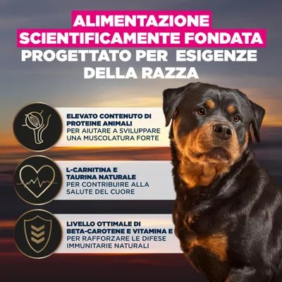 Alimentazione scientificamente comprovata, sviluppata per le esigenze della razza: alto contenuto di proteine animali, L-carnitina e taurina, livello ottimale di beta-carotene e vitamina E.
