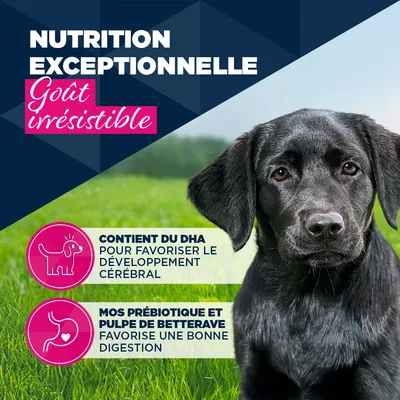 Eukanuba Puppy riche en dinde et carottes