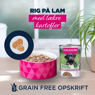 Eukanuba Puppy Rig på Lam med kartofler
