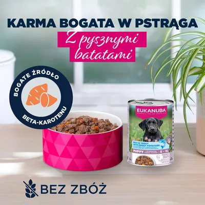 Eukanuba Puppy, pstrąg z batatami